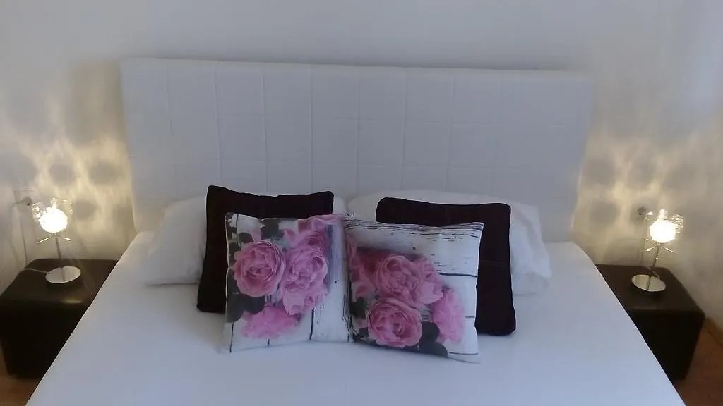 Apartment Yelena Rose West Zadar Croatia
