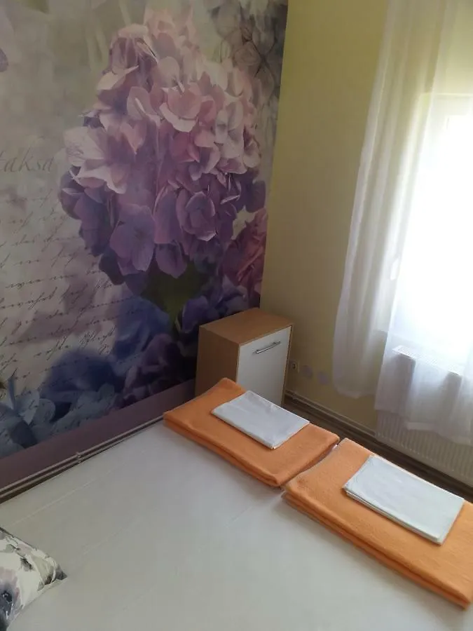 Apartment Yelena Rose West Zadar Croatia