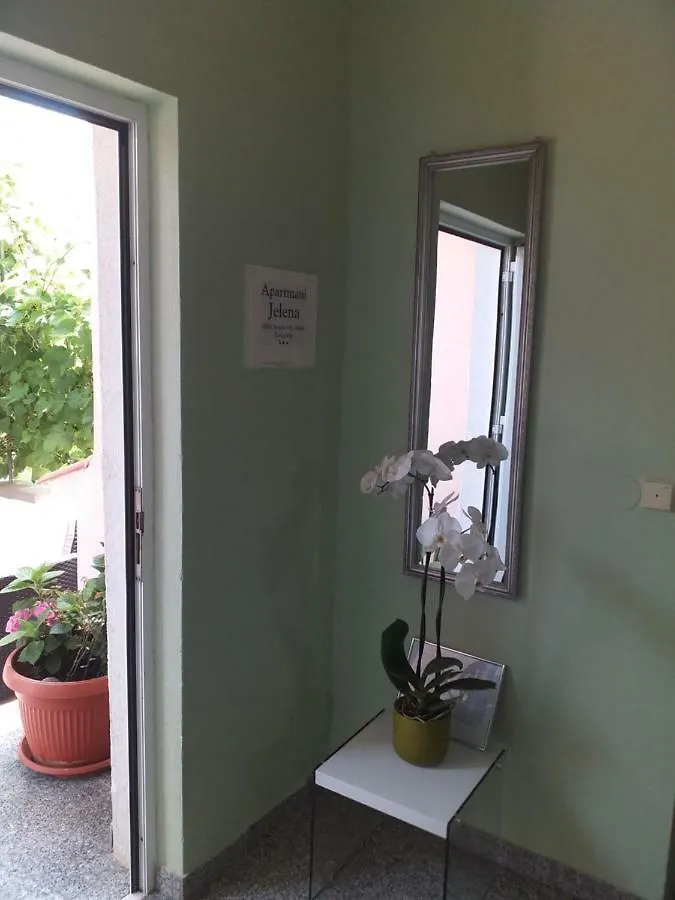 Apartment Yelena Rose West Zadar Croatia