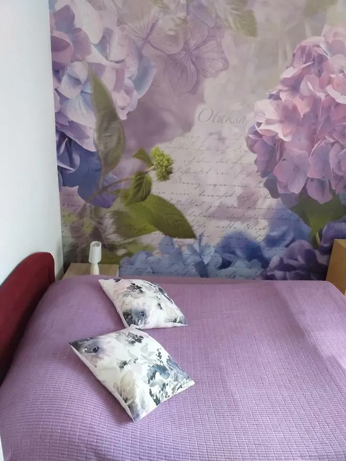 Apartment Yelena Rose West Zadar