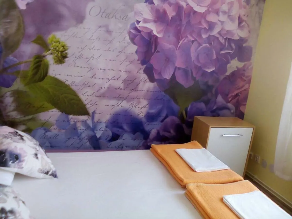 Apartment Yelena Rose West Zadar